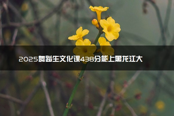 2025舞蹈生文化课438分能上黑龙江大学吗
