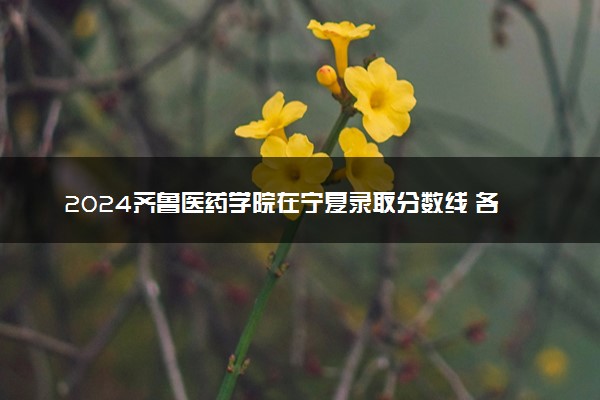 2024齐鲁医药学院在宁夏录取分数线 各专业分数及位次