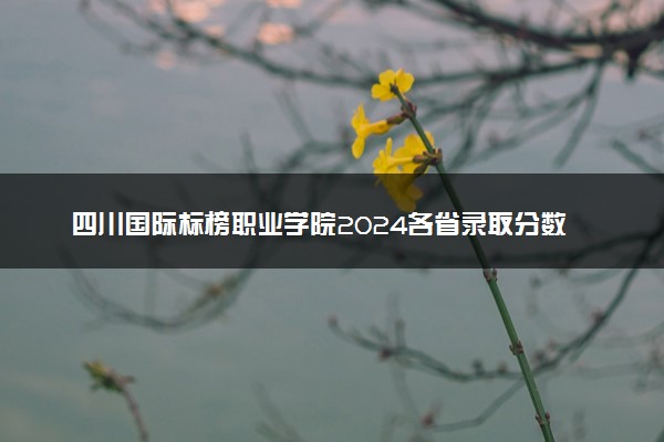 四川国际标榜职业学院2024各省录取分数线及最低位次是多少