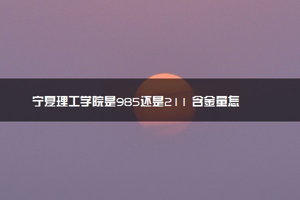 宁夏理工学院是985还是211 含金量怎么样