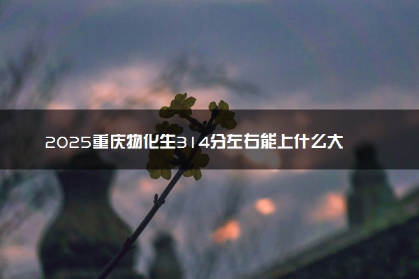 2025重庆物化生314分左右能上什么大学 可以报考的院校名单