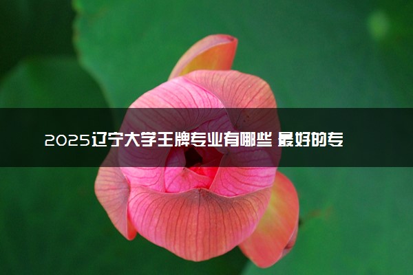 2025辽宁大学王牌专业有哪些 最好的专业是什么