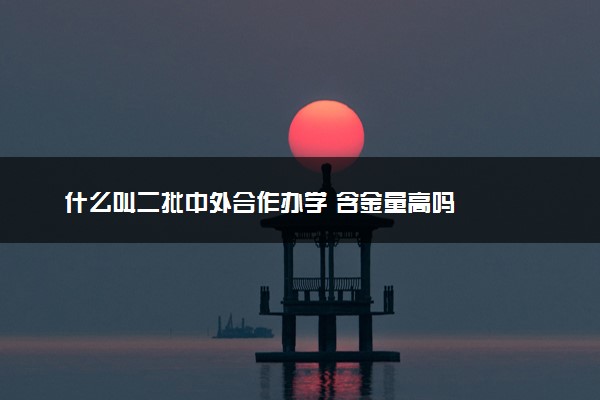 什么叫二批中外合作办学 含金量高吗