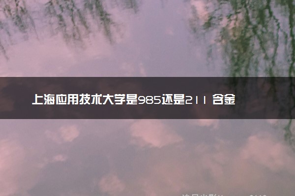 上海应用技术大学是985还是211 含金量怎么样