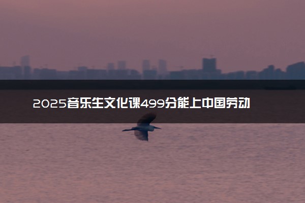 2025音乐生文化课499分能上中国劳动关系学院吗