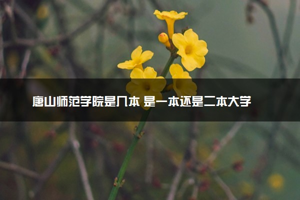 唐山师范学院是几本 是一本还是二本大学