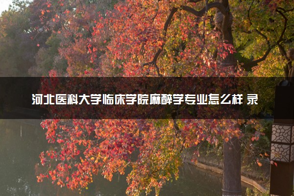 河北医科大学临床学院麻醉学专业怎么样 录取分数线多少