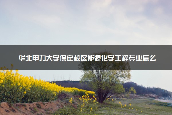 华北电力大学保定校区能源化学工程专业怎么样 录取分数线多少