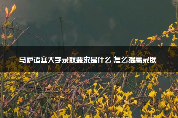 马萨诸塞大学录取要求是什么 怎么提高录取率