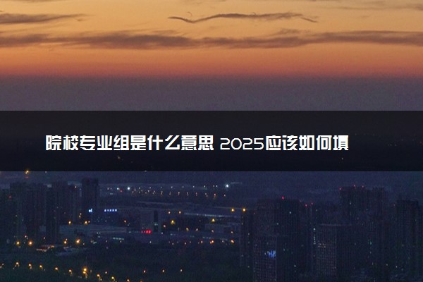院校专业组是什么意思 2025应该如何填报