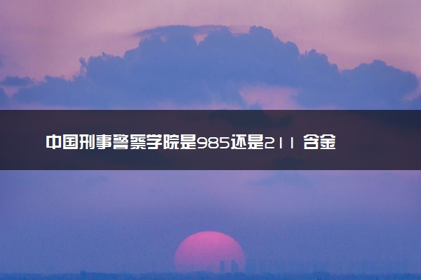 中国刑事警察学院是985还是211 含金量怎么样