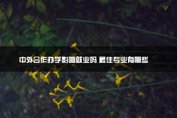 中外合作办学影响就业吗 最佳专业有哪些