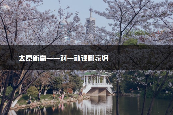 太原新高一一对一补课哪家好