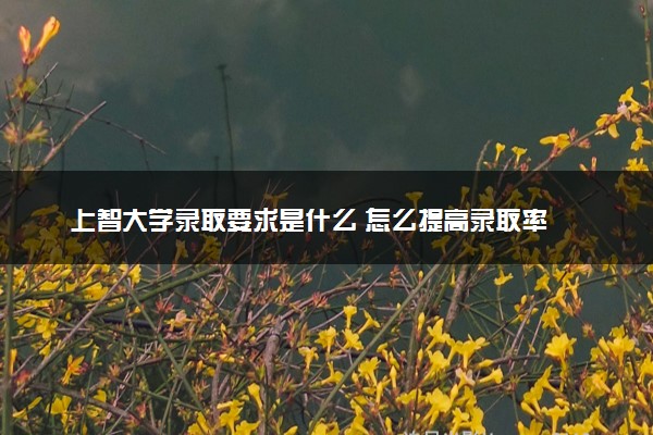 上智大学录取要求是什么 怎么提高录取率