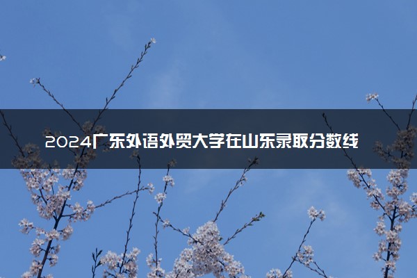 2024广东外语外贸大学在山东录取分数线 各专业分数及位次