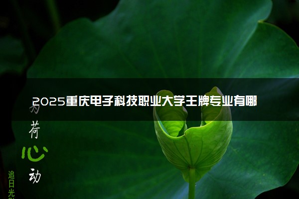 2025重庆电子科技职业大学王牌专业有哪些 最好的专业是什么
