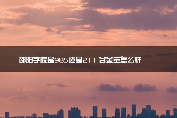 邵阳学院是985还是211 含金量怎么样