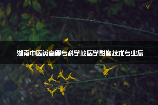 湖南中医药高等专科学校医学影像技术专业怎么样 录取分数线多少