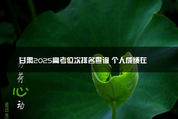 甘肃2025高考位次排名查询 个人成绩在全省排名怎么查