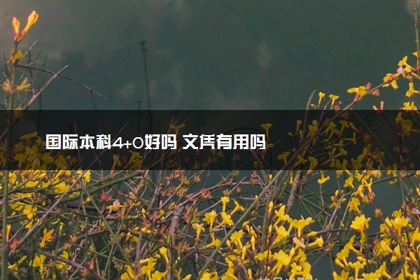 国际本科4+0好吗 文凭有用吗