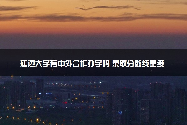 延边大学有中外合作办学吗 录取分数线是多少