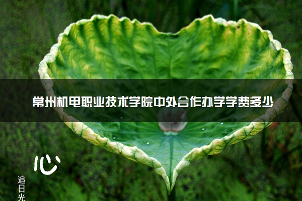 常州机电职业技术学院中外合作办学学费多少钱 各专业收费标准