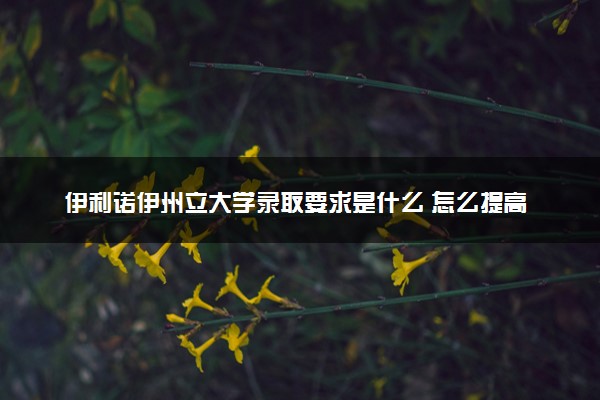 伊利诺伊州立大学录取要求是什么 怎么提高录取率