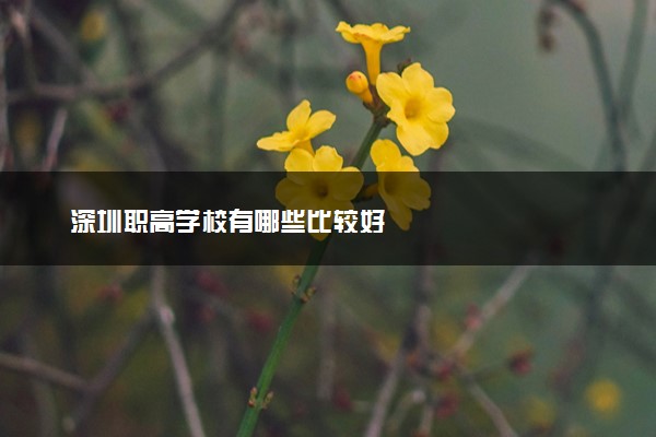 深圳职高学校有哪些比较好
