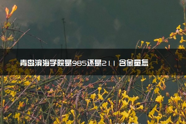 青岛滨海学院是985还是211 含金量怎么样