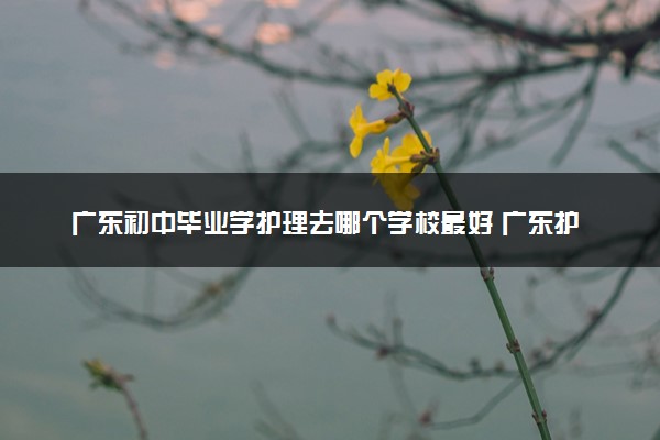 广东初中毕业学护理去哪个学校最好 广东护理专业学校推荐