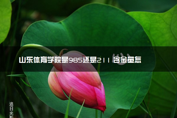 山东体育学院是985还是211 含金量怎么样