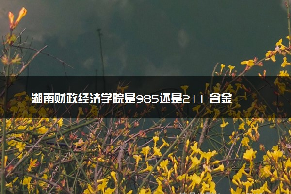 湖南财政经济学院是985还是211 含金量怎么样
