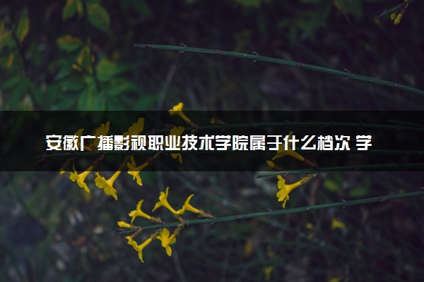 安徽广播影视职业技术学院属于什么档次 学校好不好