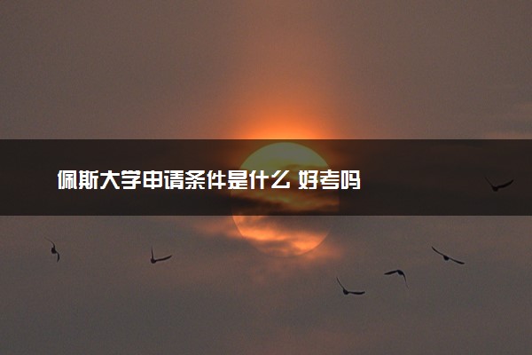佩斯大学申请条件是什么 好考吗