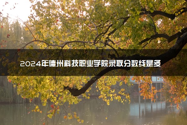 2024年德州科技职业学院录取分数线是多少 各省最低分数线及位次