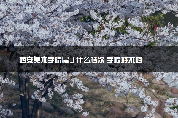 西安美术学院属于什么档次 学校好不好