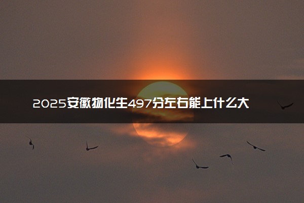2025安徽物化生497分左右能上什么大学 可以报考的院校名单