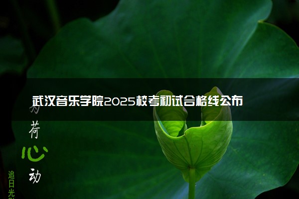 武汉音乐学院2025校考初试合格线公布 各专业分数线汇总