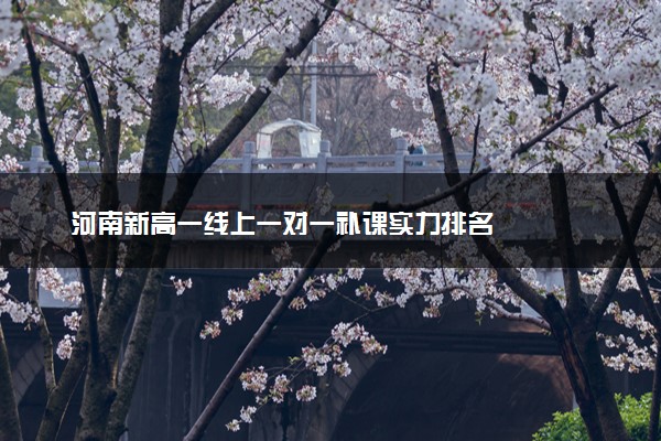 河南新高一线上一对一补课实力排名