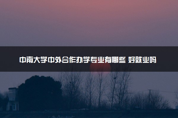 中南大学中外合作办学专业有哪些 好就业吗
