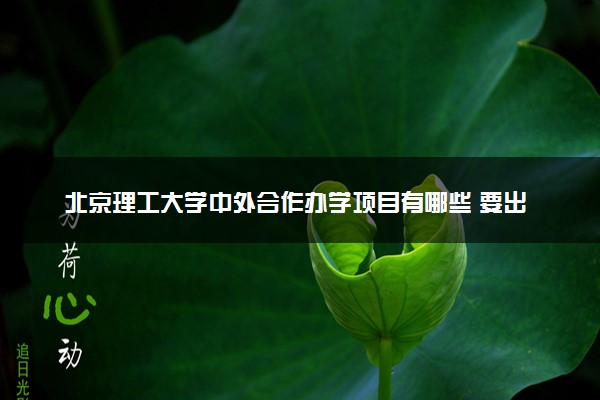 北京理工大学中外合作办学项目有哪些 要出国吗
