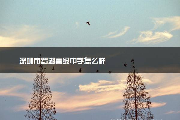 深圳市罗湖高级中学怎么样