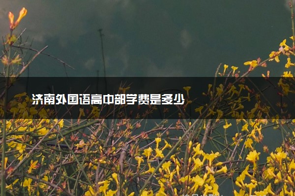 济南外国语高中部学费是多少