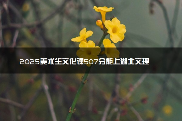 2025美术生文化课507分能上湖北文理学院吗