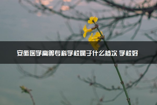 安徽医学高等专科学校属于什么档次 学校好不好