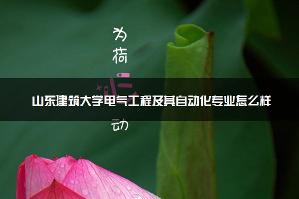 山东建筑大学电气工程及其自动化专业怎么样 录取分数线多少