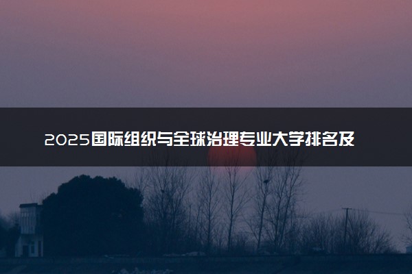 2025国际组织与全球治理专业大学排名及录取分数线