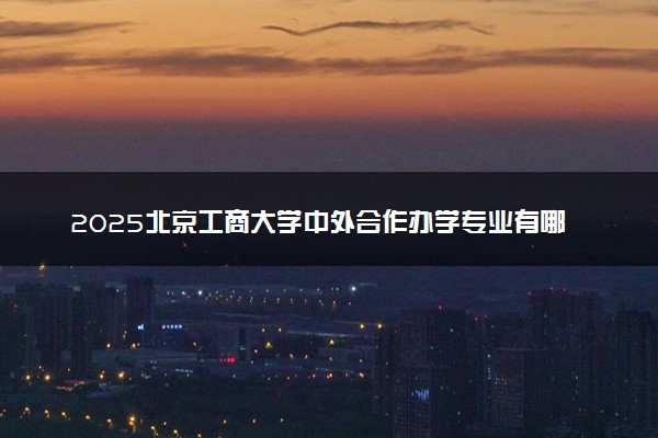 2025北京工商大学中外合作办学专业有哪些 代码是什么