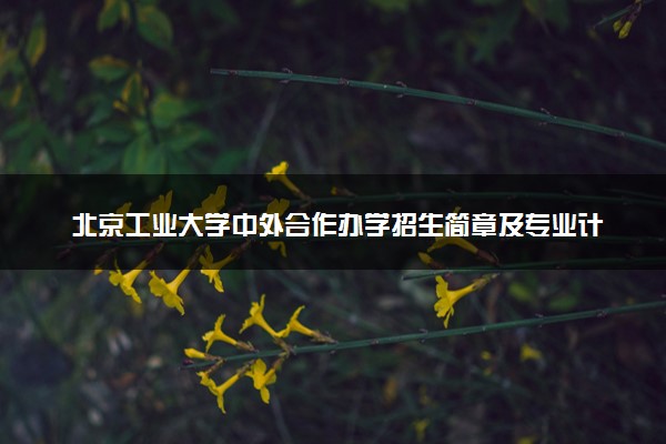 北京工业大学中外合作办学招生简章及专业计划（2025参考）