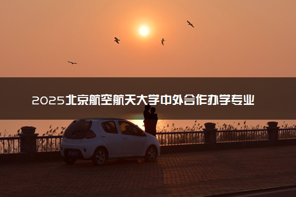 2025北京航空航天大学中外合作办学专业有哪些 代码是什么